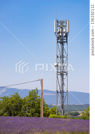 Telecommunication tower in lavender field Telecommunication tower in lavender field 136192112