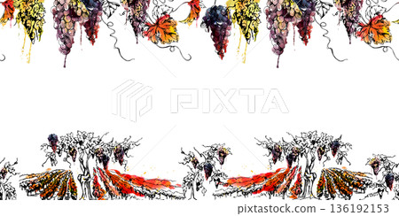 Botanical seamless strip of leafy grapevines, vine rows on hills, hanging clusters and leaves. Isolated illustration hand drawn in watercolor and ink. Artisan winery product packaging, travel borders Botanical seamless strip of leafy grapevines, vine rows on hills, hanging clusters and leaves. Isolated illustration hand drawn in watercolor and ink. Artisan winery product packaging, travel borders 136192153