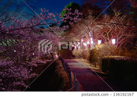 西山公園(西山莊附近) 西山公園(西山莊附近) 136192167