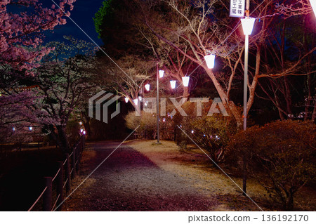 西山公園(西山莊附近) 西山公園(西山莊附近) 136192170