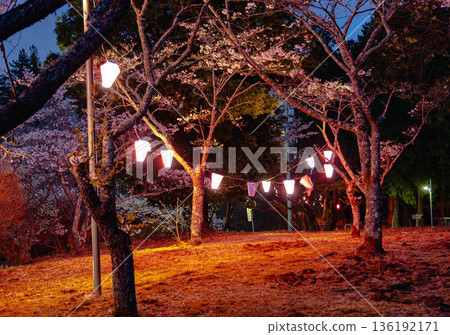 西山公園（西山莊附近） 136192171