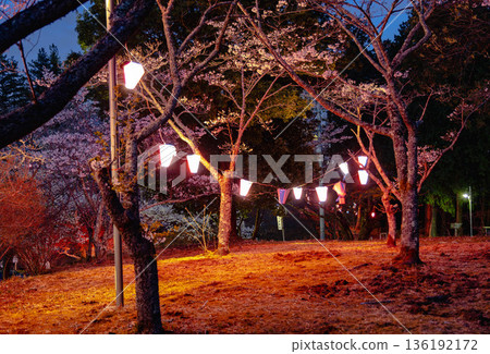 西山公園(西山莊附近) 西山公園(西山莊附近) 136192172