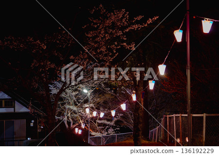 西山公園(西山莊附近) 西山公園(西山莊附近) 136192229