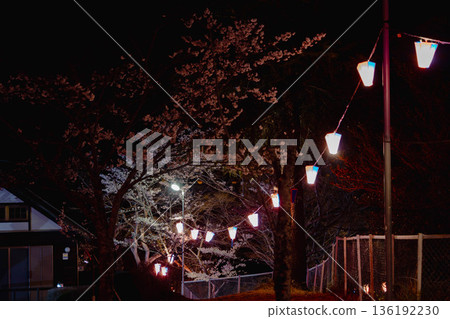西山公園(西山莊附近) 西山公園(西山莊附近) 136192230