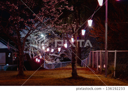 西山公園（西山莊附近） 136192233