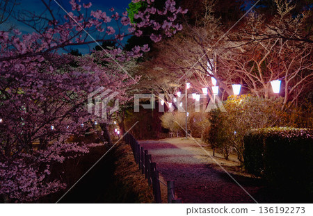 西山公園(西山莊附近) 西山公園(西山莊附近) 136192273