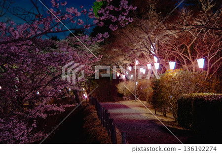 西山公園(西山莊附近) 西山公園(西山莊附近) 136192274