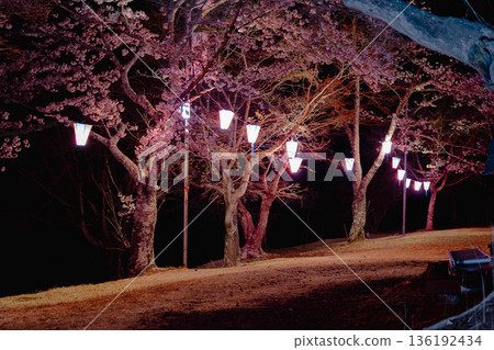 西山公園（西山莊附近） 136192434