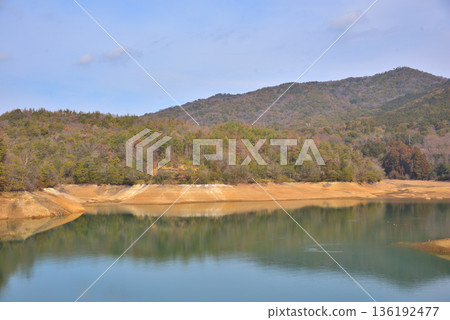 Aichi Prefecture: Kasugai City, Chikusui Pond in winter 136192477