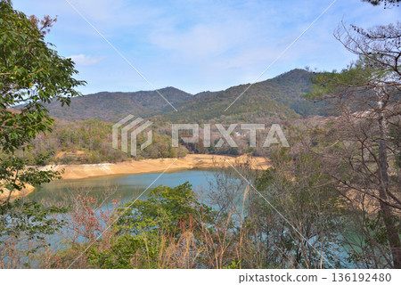 Aichi Prefecture: Kasugai City, Chikusui Pond in winter 136192480
