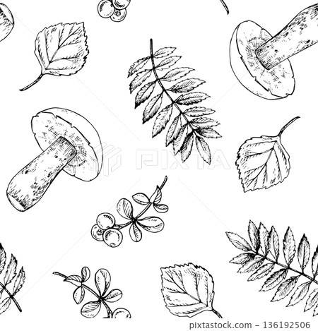 Taiga Forest Botanical pattern. Hand drawn mushrooms, leaves and berries. Clean black line art, vintage engraving style. Good for seamless patterns, textiles, packaging, stationery, wallpaper, prints 136192506