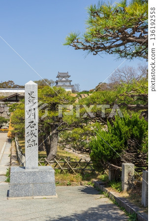 春日兵庫縣明石市明石公園及明石城遺址 136192558