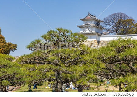 Akashi Park and Akashi Castle Ruins in Spring, Akashi City, Hyogo Prefecture 136192560