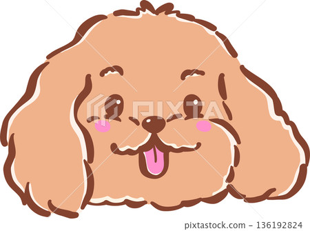 Adorable Cavoodle Dog Face with Tongue Out Cartoon Hand Drawn Whimsical Adorable Cavoodle Dog Face with Tongue Out Cartoon Hand Drawn Whimsical 136192824