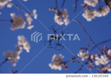 櫻花和無人機 櫻花和無人機 136193389