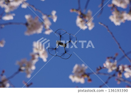 櫻花和無人機 櫻花和無人機 136193390
