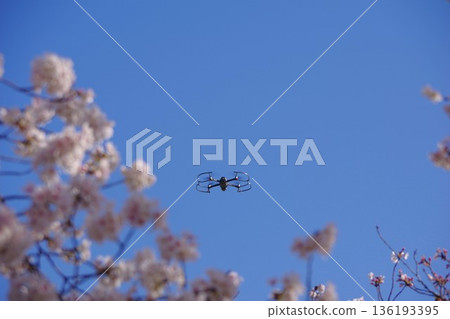 櫻花和無人機 136193395