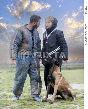 training of belgian shepherd 136193629