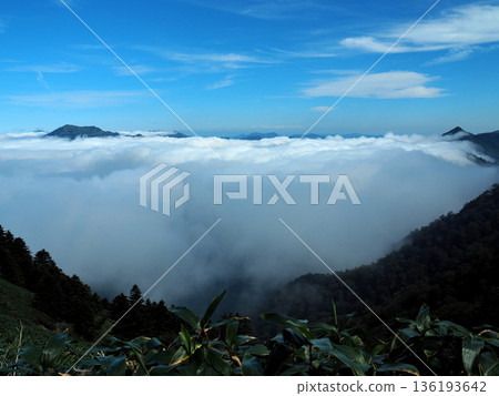 [Mountain scenery] View from the summit of Mt. Ishizuchi, Ehime Prefecture - Sea of clouds 136193642