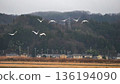 Dance of the Swans - Fuse Suikai Site 136194090