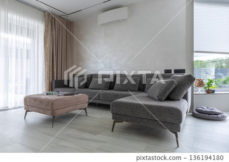 Modern Studio Apartment Interior with Grey Sofa and Pet Accessories Modern Studio Apartment Interior with Grey Sofa and Pet Accessories 136194180