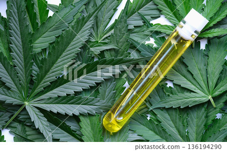 Exploring the wonders of cannabis oil nestled among fresh green leaves in a vibrant setting 136194290