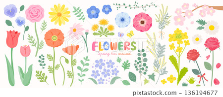 簡潔時尚的春季插畫,花卉設計,包含櫻花、鬱金香、油菜花和其他春季花卉和葉子。 簡潔時尚的春季插畫,花卉設計,包含櫻花、鬱金香、油菜花和其他春季花卉和葉子。 136194677