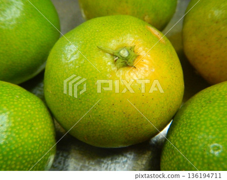 Freshly harvested mandarins 136194711