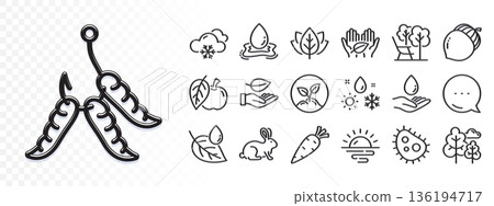 Weather, Sunrise and Leaf line icons for web app. Glare of light effect. Message icon. Pack of Water splash, Acorn, Deckchair pictogram icons. Animal tested, Organic tested, Snow weather signs. Vector Weather, Sunrise and Leaf line icons for web app. Glare of light effect. Message icon. Pack of Water splash, Acorn, Deckchair pictogram icons. Animal tested, Organic tested, Snow weather signs. Vector 136194717