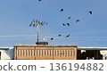 Flock of birds flying above residential building roof against clear blue sky on winter morning. 136194882