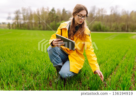 The woman agronomist uses a tablet, applications for monitoring the state of the field, plant The woman agronomist uses a tablet, applications for monitoring the state of the field, plant 136194919
