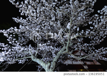 西山公園(西山莊附近) 西山公園(西山莊附近) 136195051
