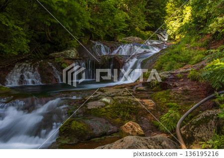 夏天的長野縣茅野市奧立科鶇通角紫瀑布 136195216