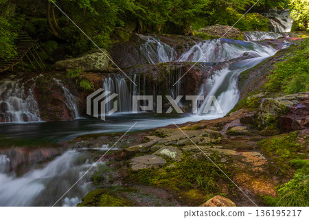 夏天的長野縣茅野市奧立科鶇通角紫瀑布 136195217