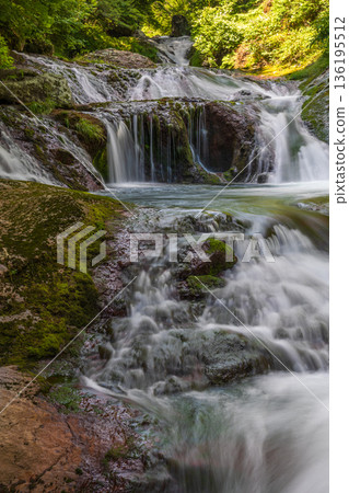 夏天的長野縣茅野市奧立科鶇通角紫瀑布 136195512