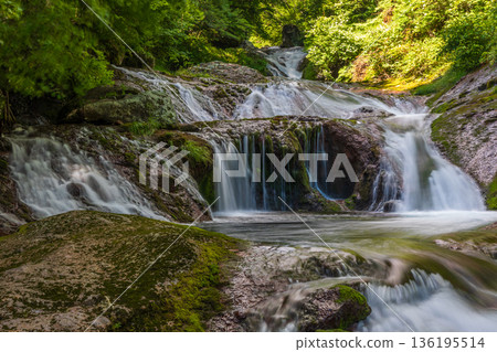 夏天的長野縣茅野市奧立科鶇通角紫瀑布 136195514