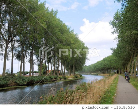 Damme, Belgium - Cycling along the canal Damme, Belgium - Cycling along the canal 136195530