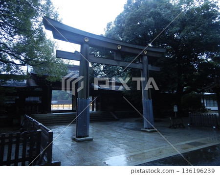 Visiting Meiji Shrine in the rain Visiting Meiji Shrine in the rain 136196239