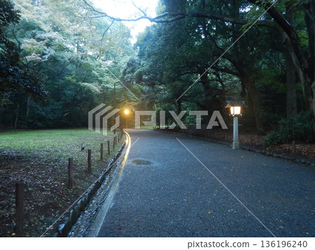 Visiting Meiji Shrine in the rain Visiting Meiji Shrine in the rain 136196240