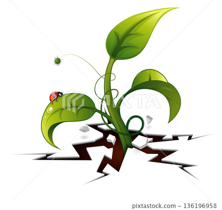 Green Sprout from Crack 136196958