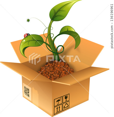 Cardboard Box with Sprout Cardboard Box with Sprout 136196961