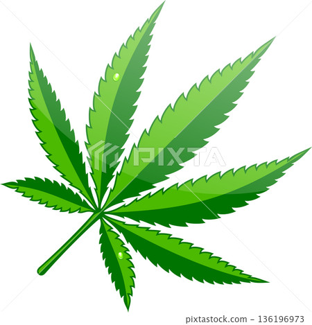 Cannabis Hemp Leaf Flat Icon Cannabis Hemp Leaf Flat Icon 136196973