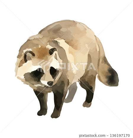 水彩風格的浣熊插圖 水彩風格的浣熊插圖 136197170