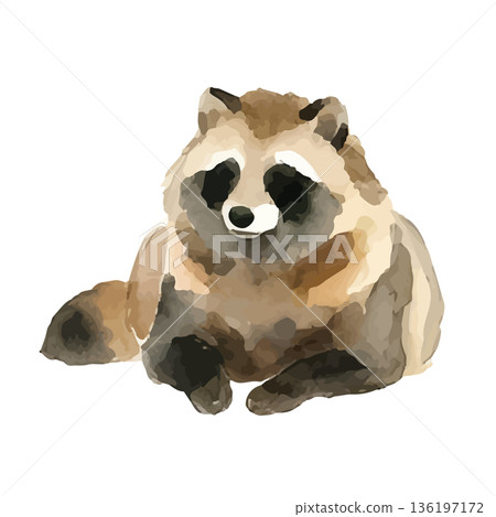 水彩風格的浣熊插圖 水彩風格的浣熊插圖 136197172