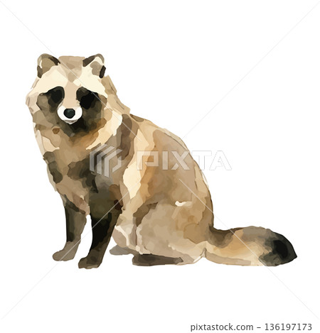 水彩風格的浣熊插圖 水彩風格的浣熊插圖 136197173