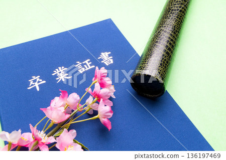 Graduation certificate with cherry blossoms in a tube 136197469