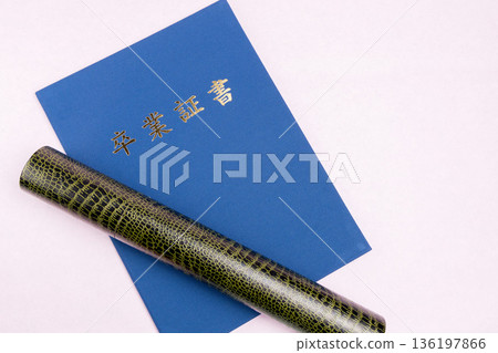 Graduation certificate and tube on pink background 136197866