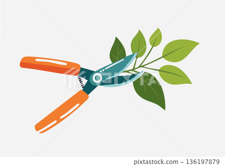 Modern cartoon style gardening scene with metal pruning shears trimming fresh leaves 136197879