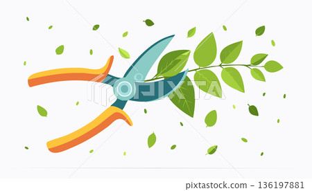 Clean gardening illustration featuring pruning shears and fresh leaves minimal Clean gardening illustration featuring pruning shears and fresh leaves minimal 136197881
