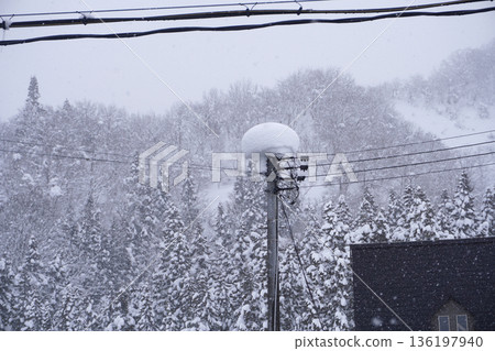 被雪覆蓋的電線桿（雪）04 136197940